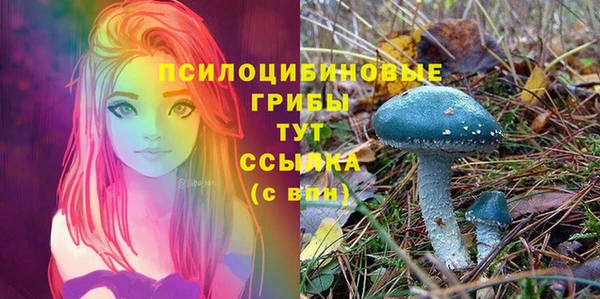 MDMA Алексин