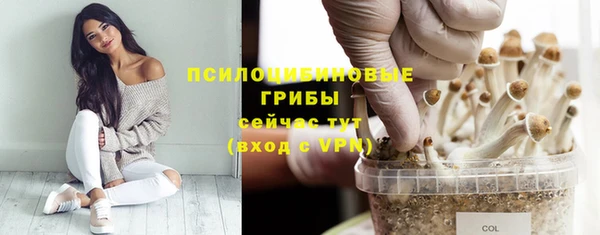 трава Алзамай