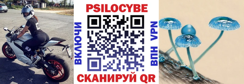 дарк нет какой сайт  Кремёнки  Галлюциногенные грибы прущие грибы 